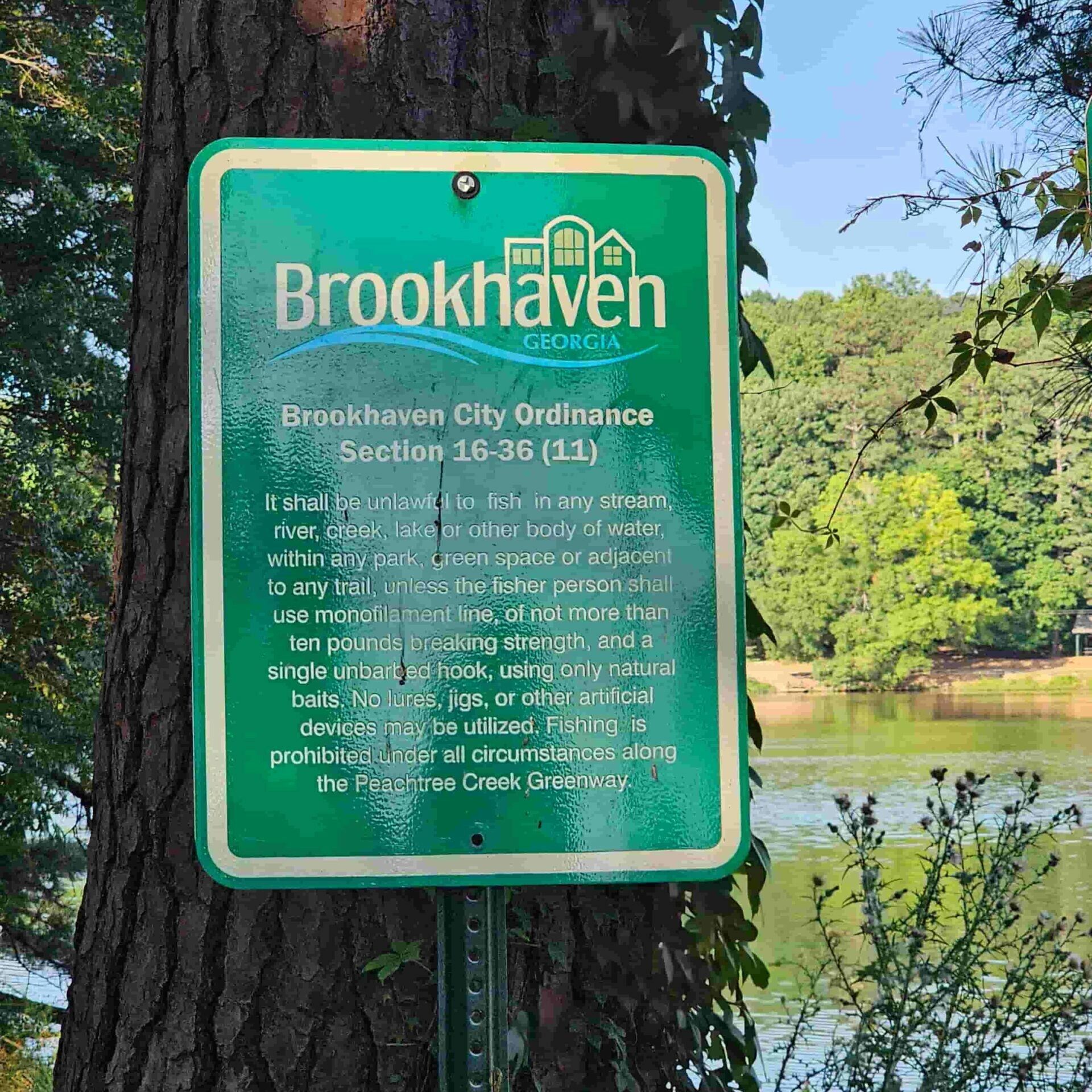 Picture of Brookhaven city ordinance at Murphey Candler Park with Metro Acupuncture