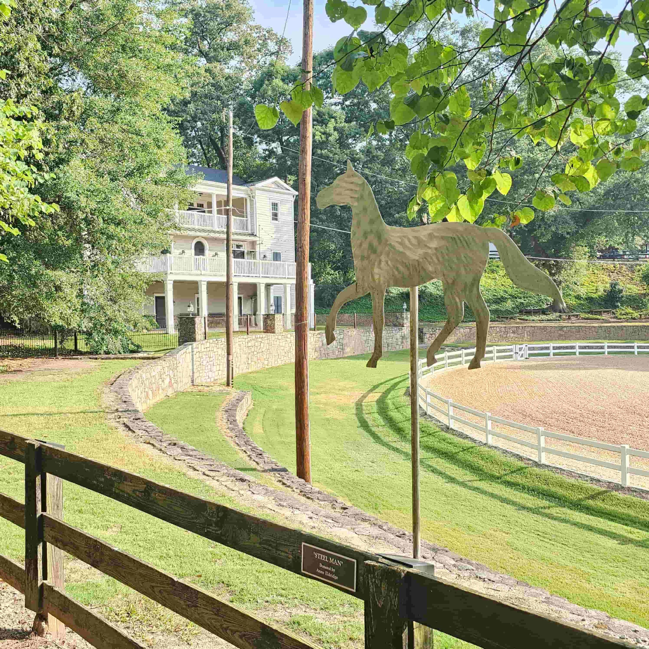 Picture of Chastain Horse Park in Buckhead with Metro Acupuncture 3