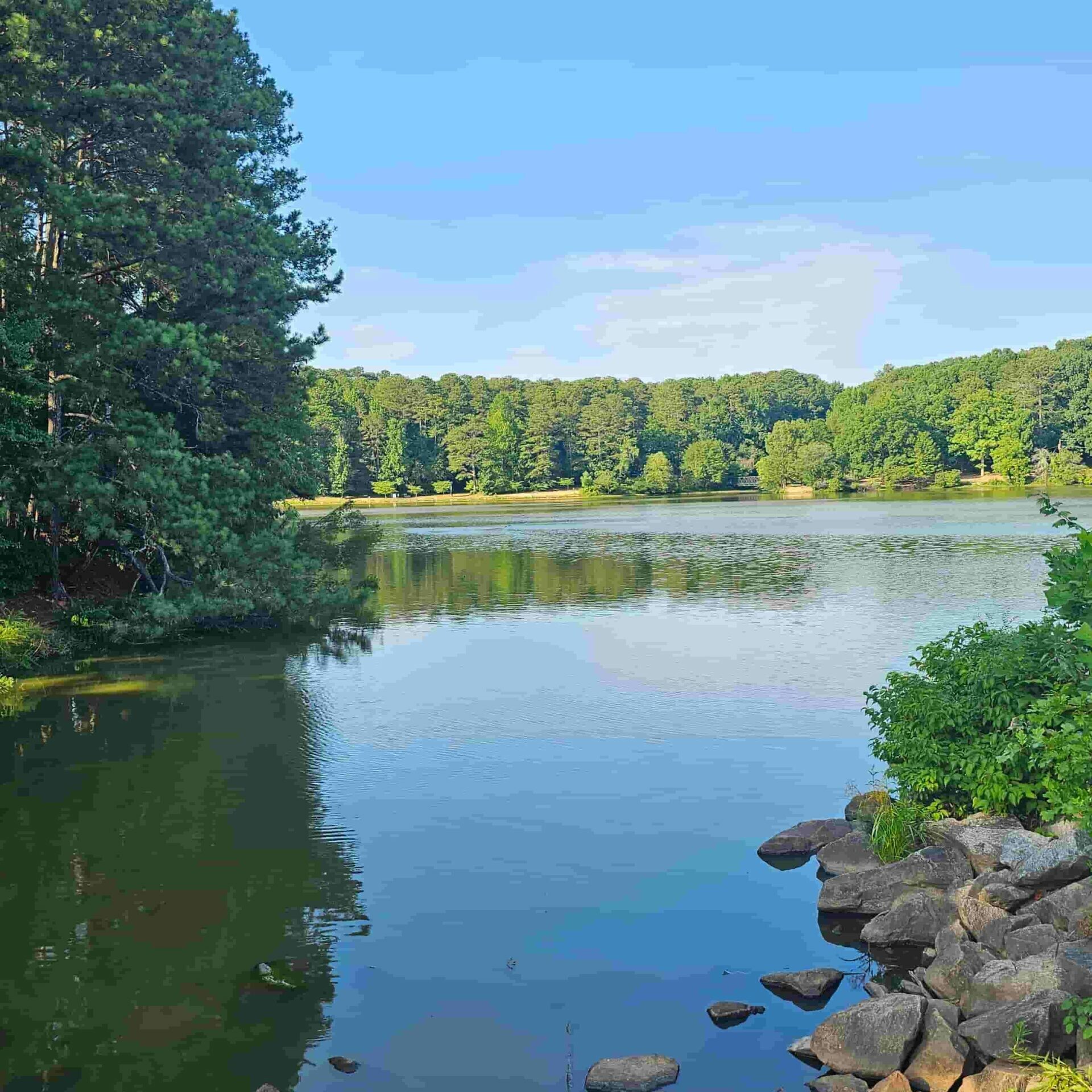 Picture of lake at Murphey Candler Park in Brookhaven with Metro Acupuncture