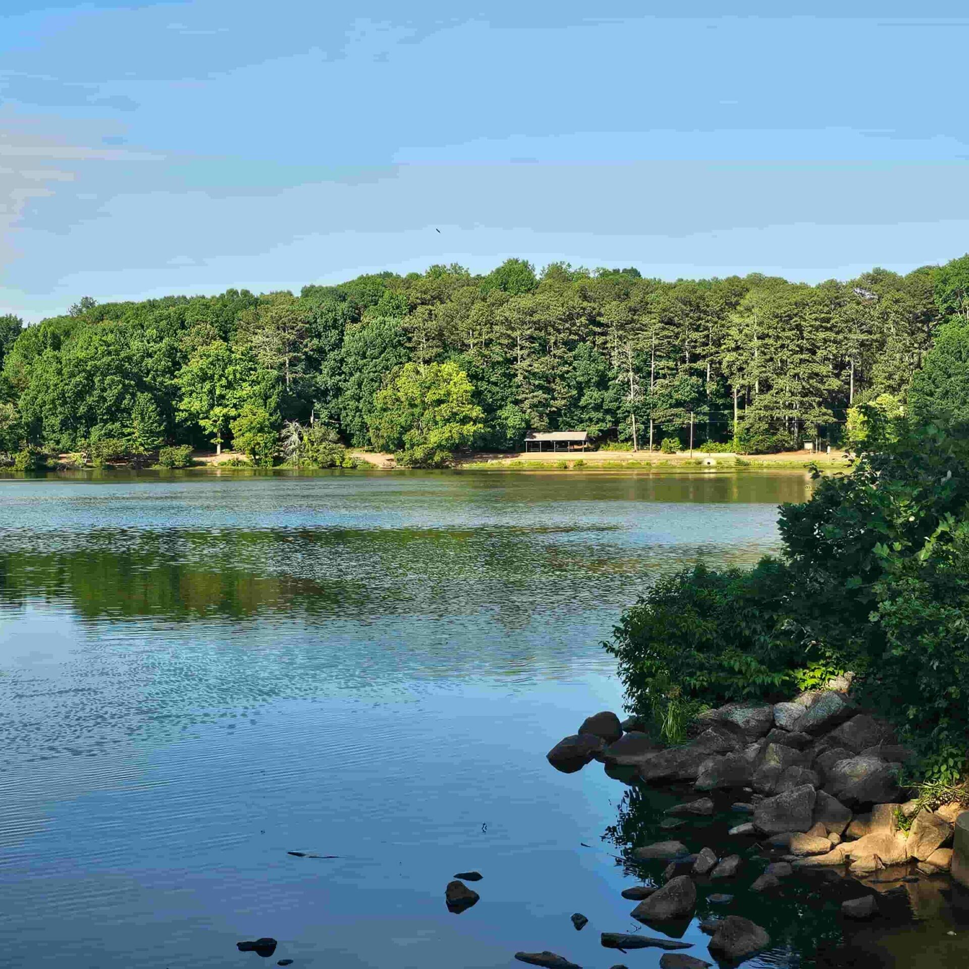 Picture of Murphey Park in Brookhaven with Metro Acupuncture