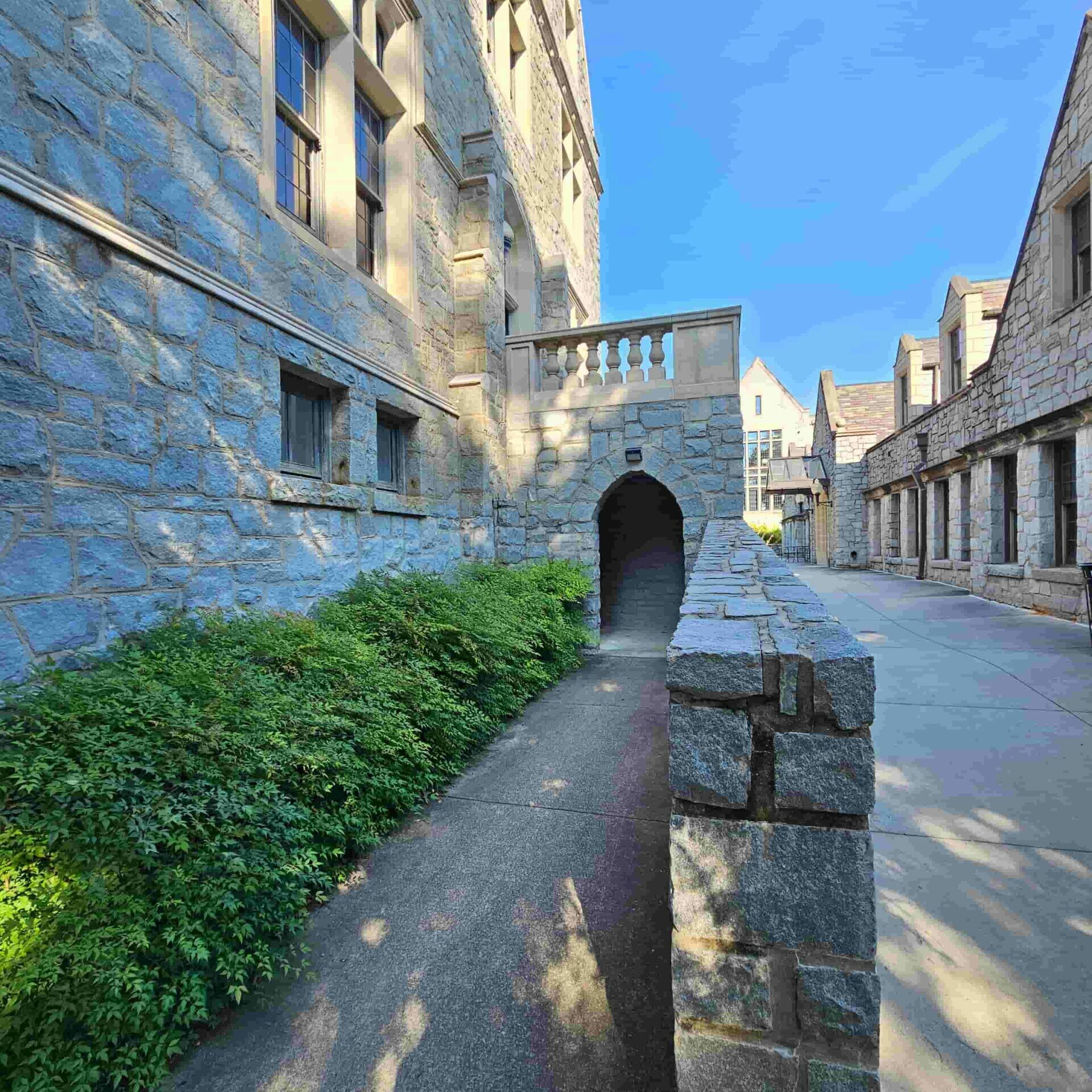 Picture of the side of Lowry Hall Weltner Library Museum of Art in Brookhaven with Metro Acupuncture