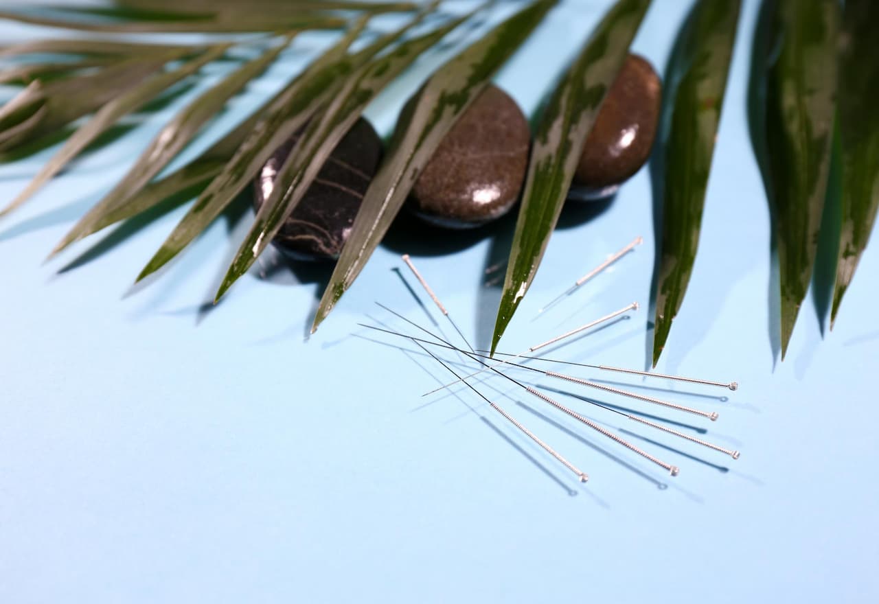 Thumbnail-For-Acupuncture-Needle-Calm-Inmune-Boosting-Image-with-Rocks-By-Metro Acupuncture