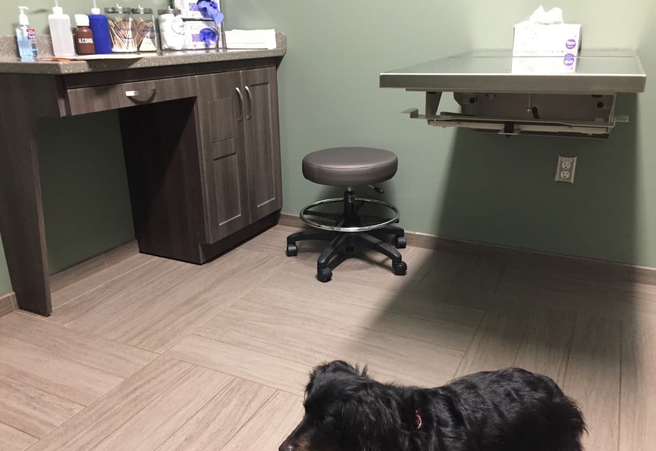 Picture of Inside of BluePearl Pet Hospital by Metro Acupuncture