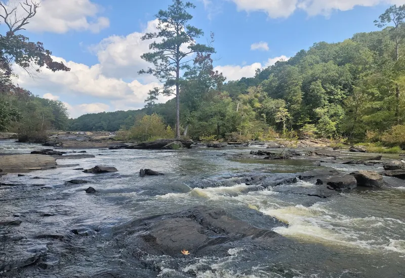 Thumbnail-For-Look-at-The-Rapids-At-Sweetwater Creek State Park-By-Metro-Acupuncture